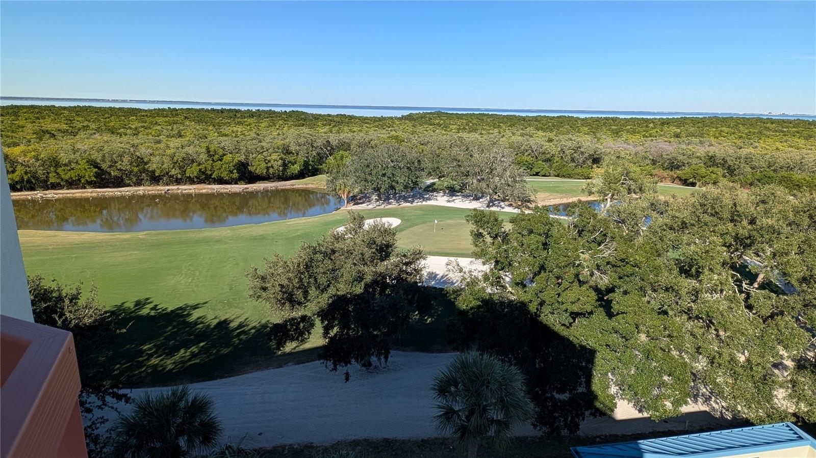 2333 Feather Sound Dr #a208 Property Photo 76
