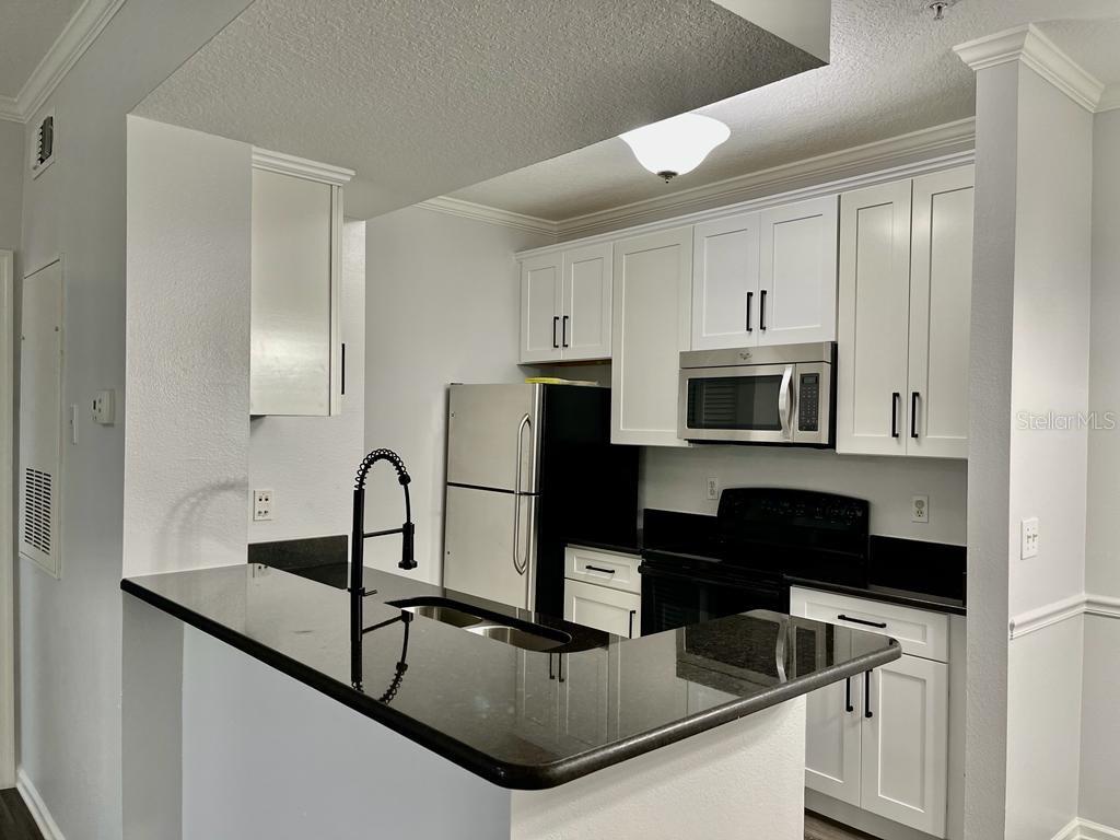 14316 Fredricksburg Dr #514 Property Photo 9