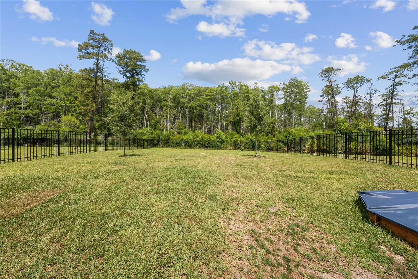 12918 Promise Pl Property Photo 42
