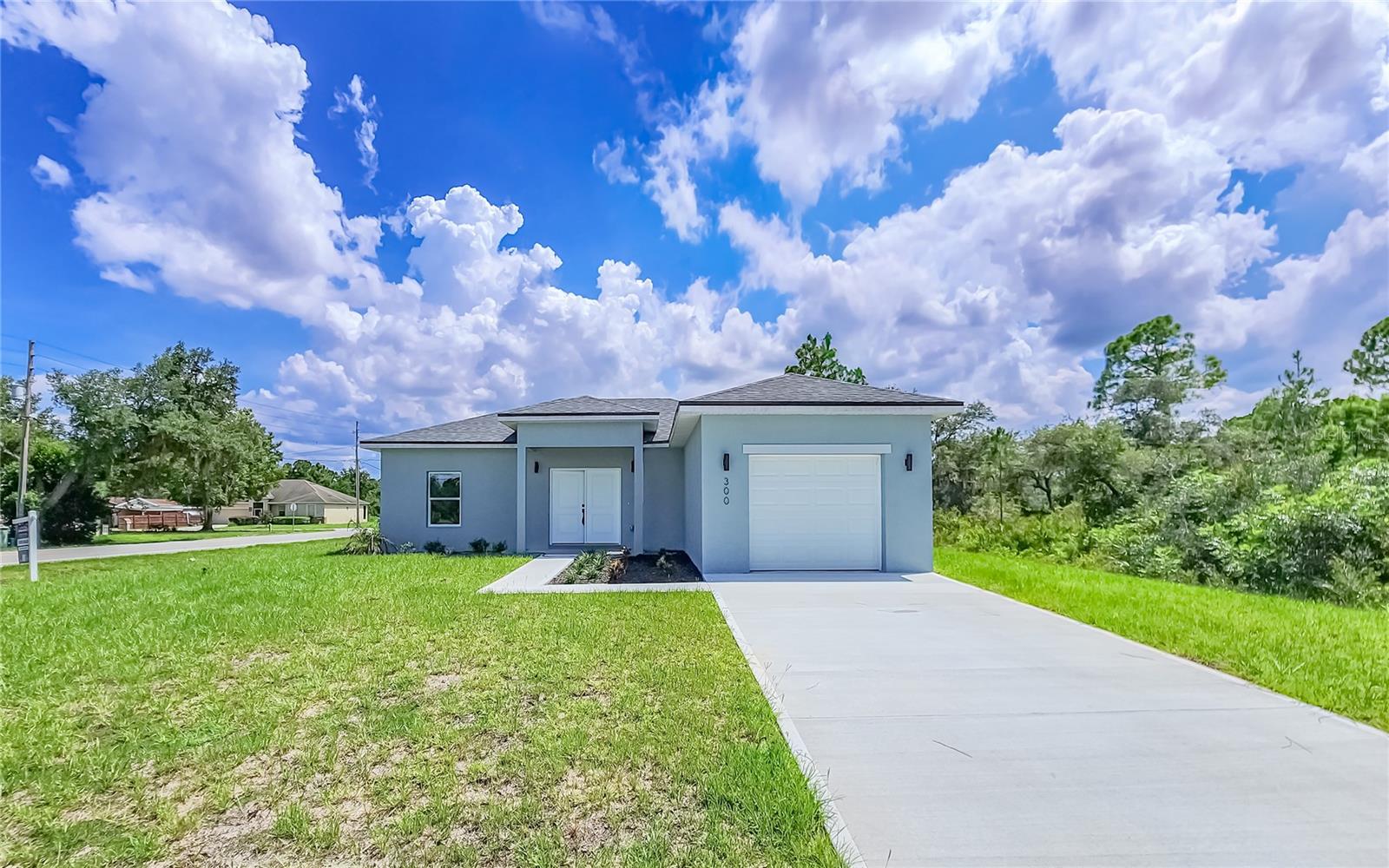 300 Caspian Tern Ave Property Photo 1