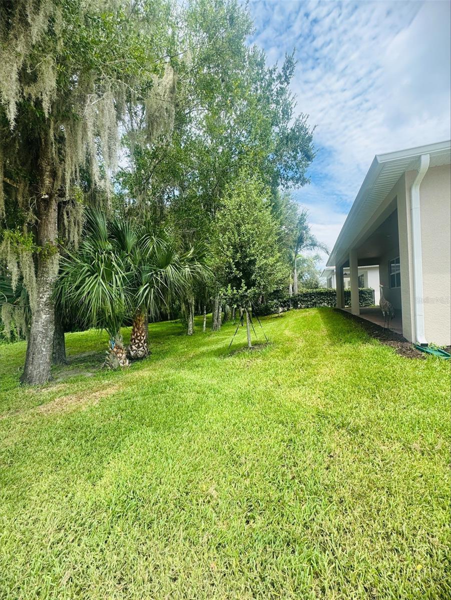 3678 Arbordale Loop Property Photo 14