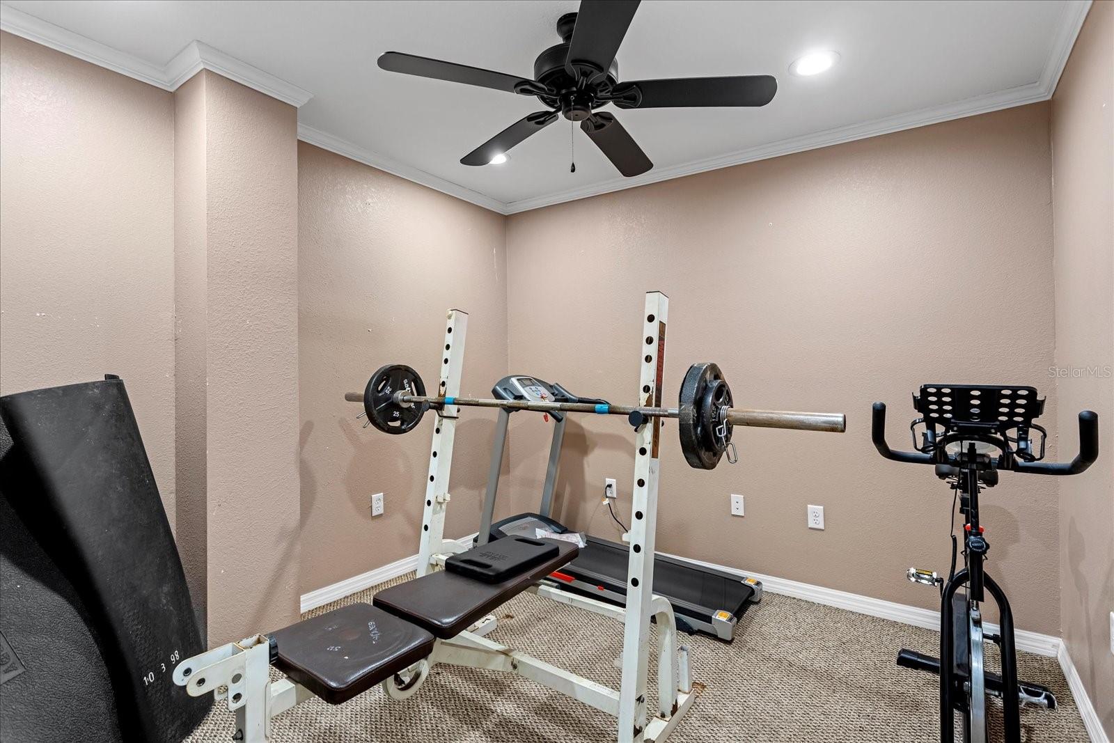 524 Eden Park Property Photo 43