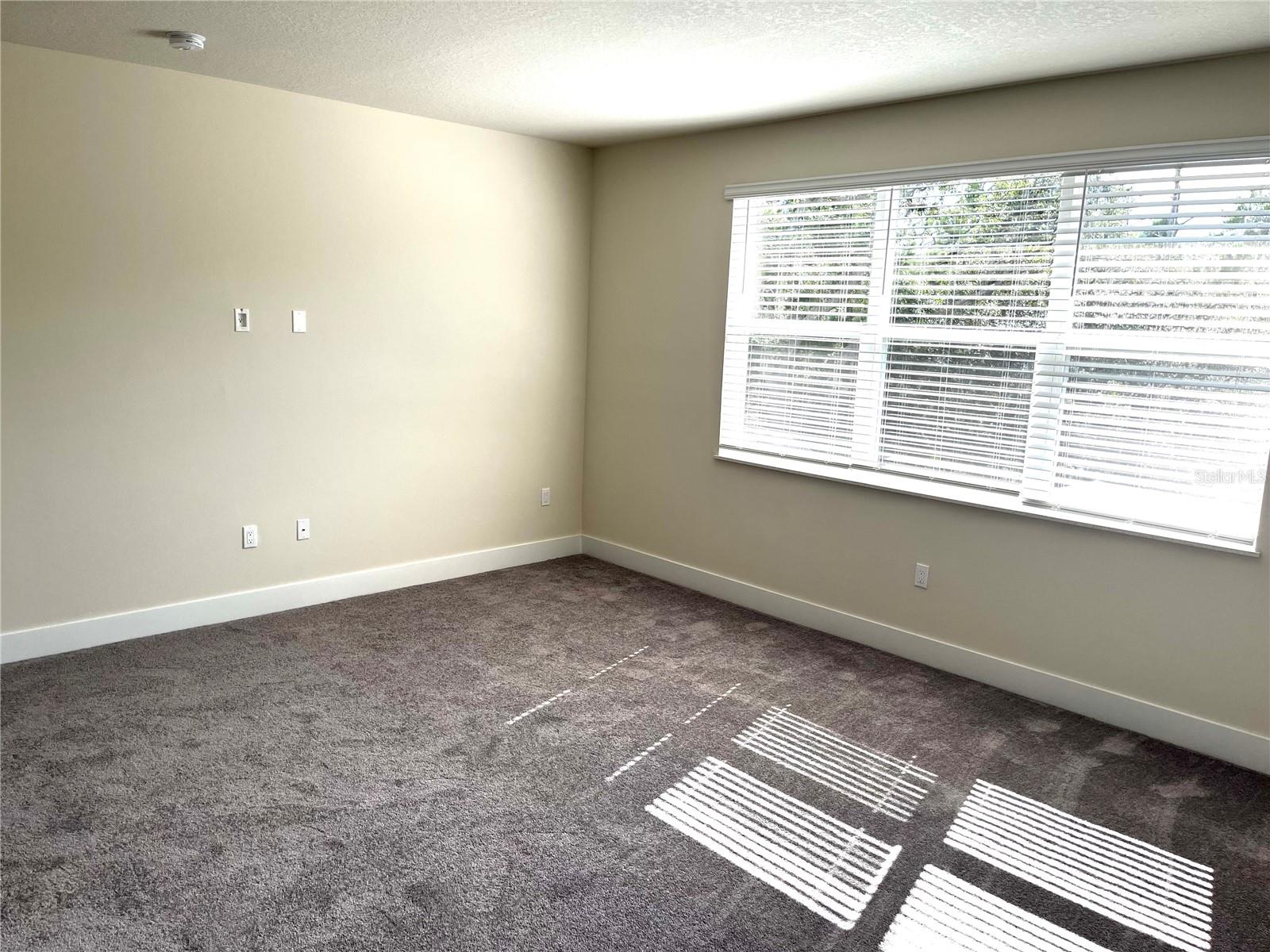 1427 Serendipity Ln Property Photo 8