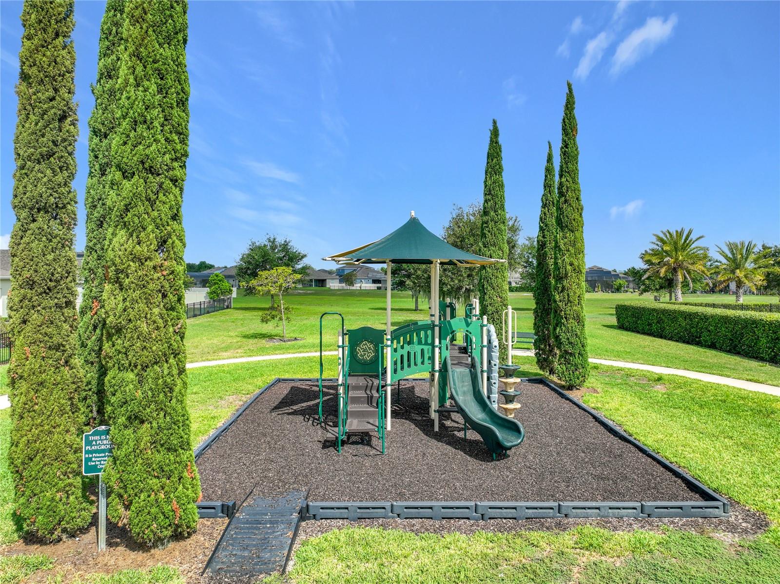 1315 Dusty Pine Dr Property Photo 39