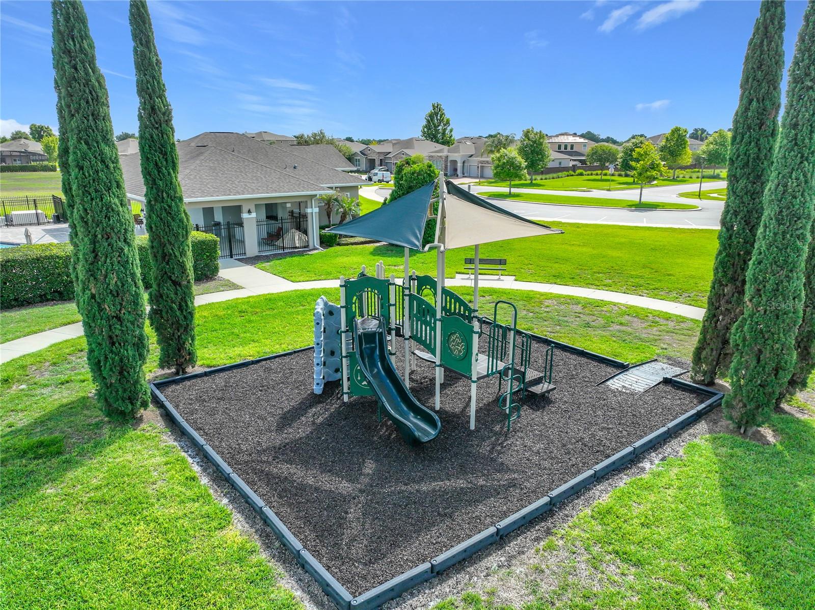 1315 Dusty Pine Dr Property Photo 40
