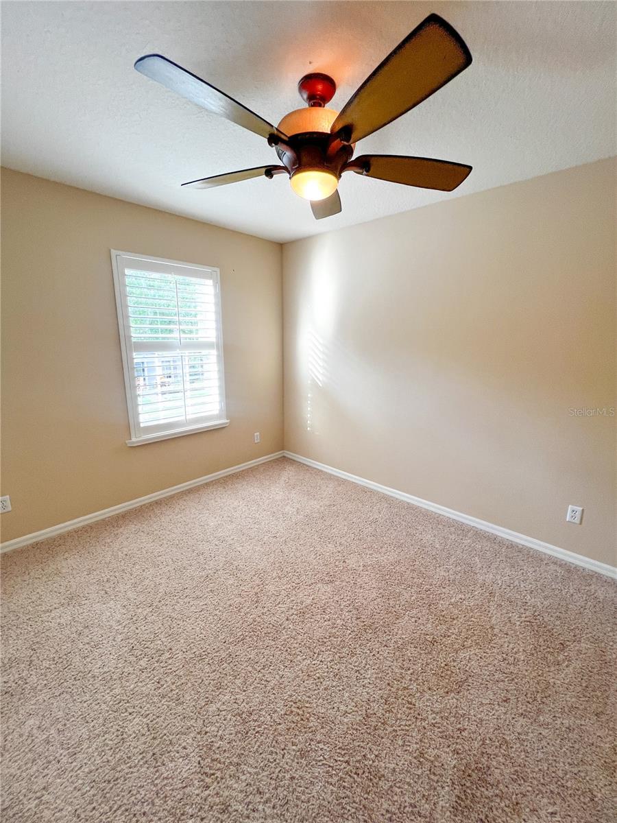 14252 Confetti Dr Property Photo 59
