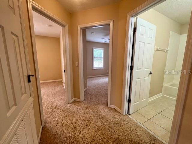 14252 Confetti Dr Property Photo 64