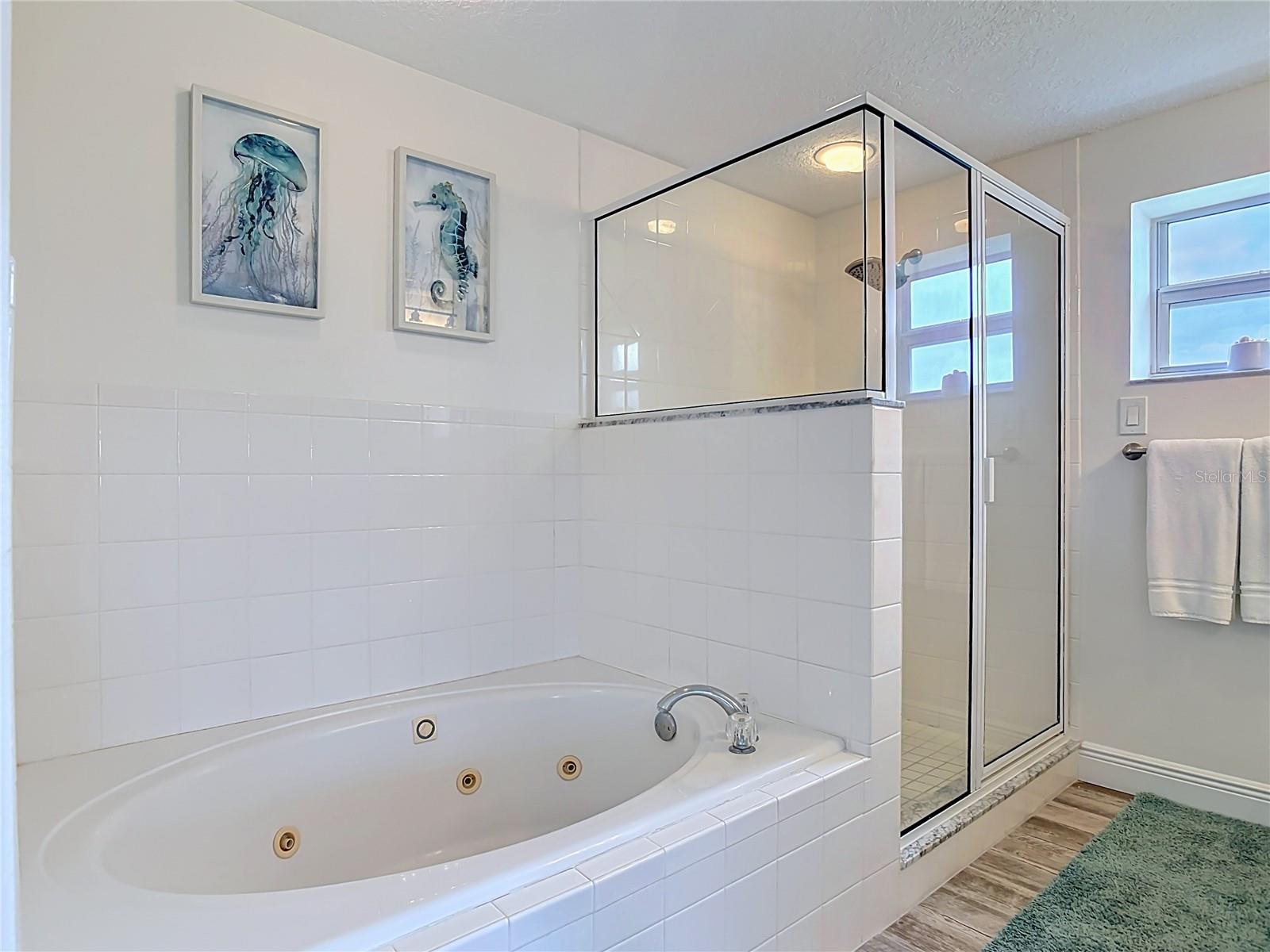 5300 S Atlantic Ave #5-301 Property Photo 12