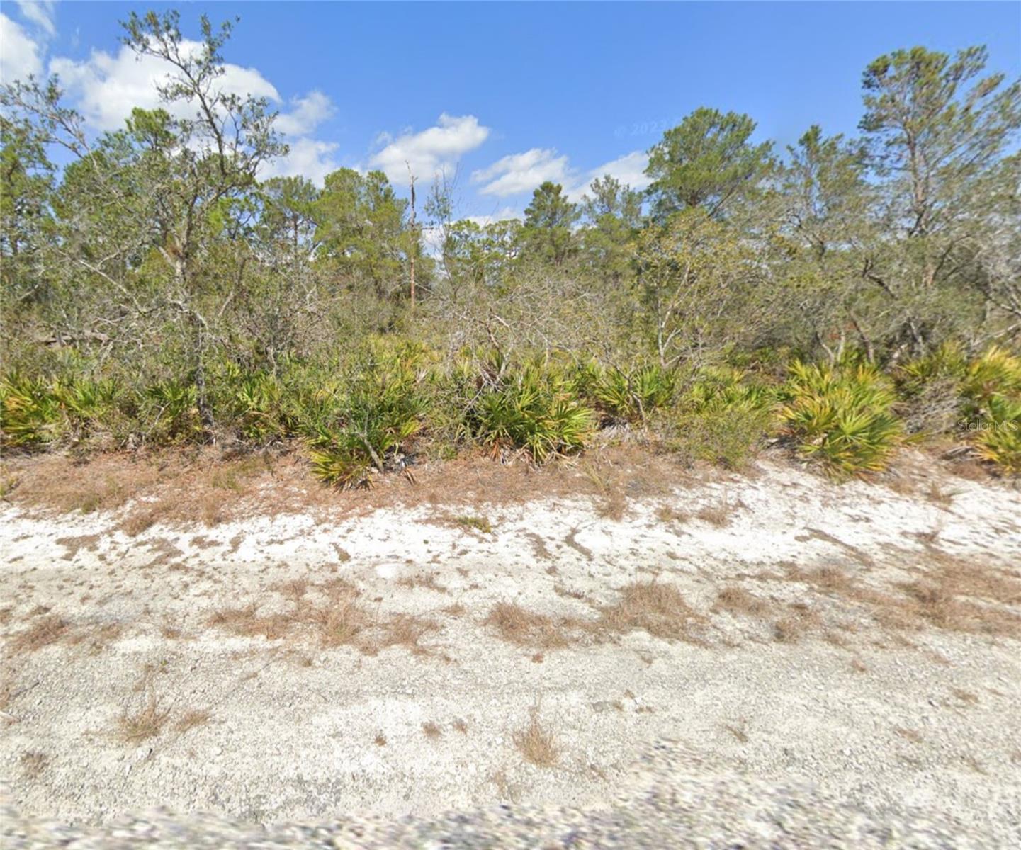 3049 Cedar Hill Ave Property Photo 3