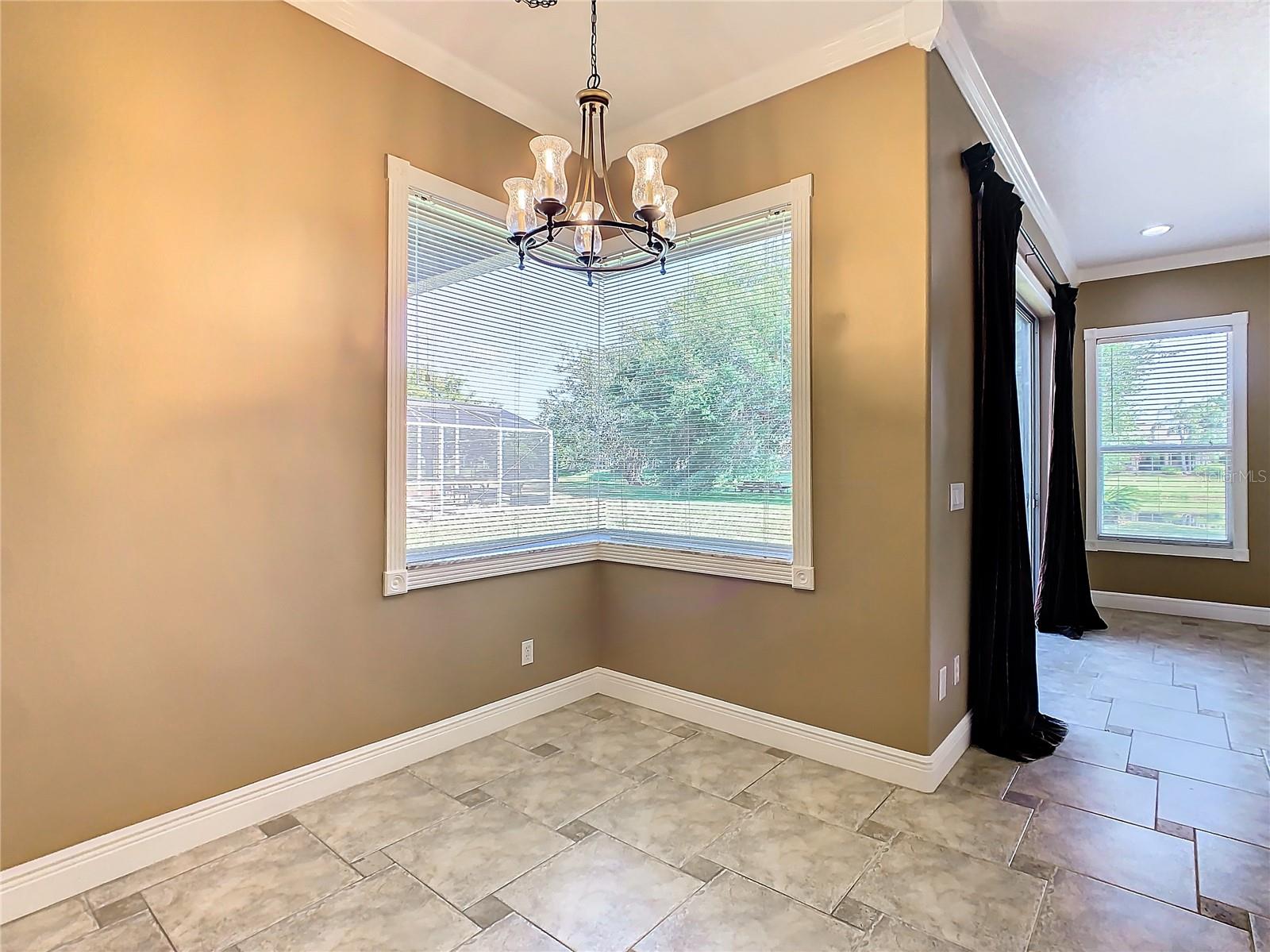 4925 Brightmour Cir Property Photo 15