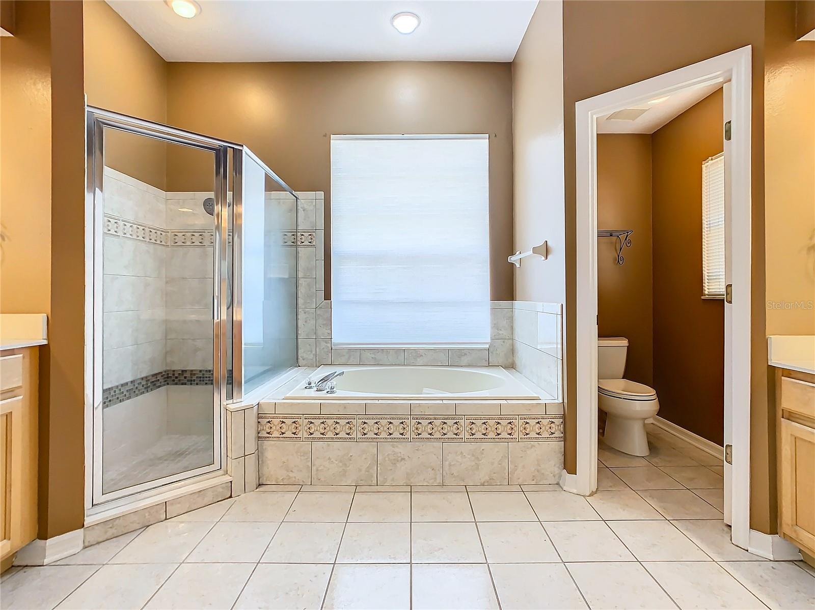 4925 Brightmour Cir Property Photo 43