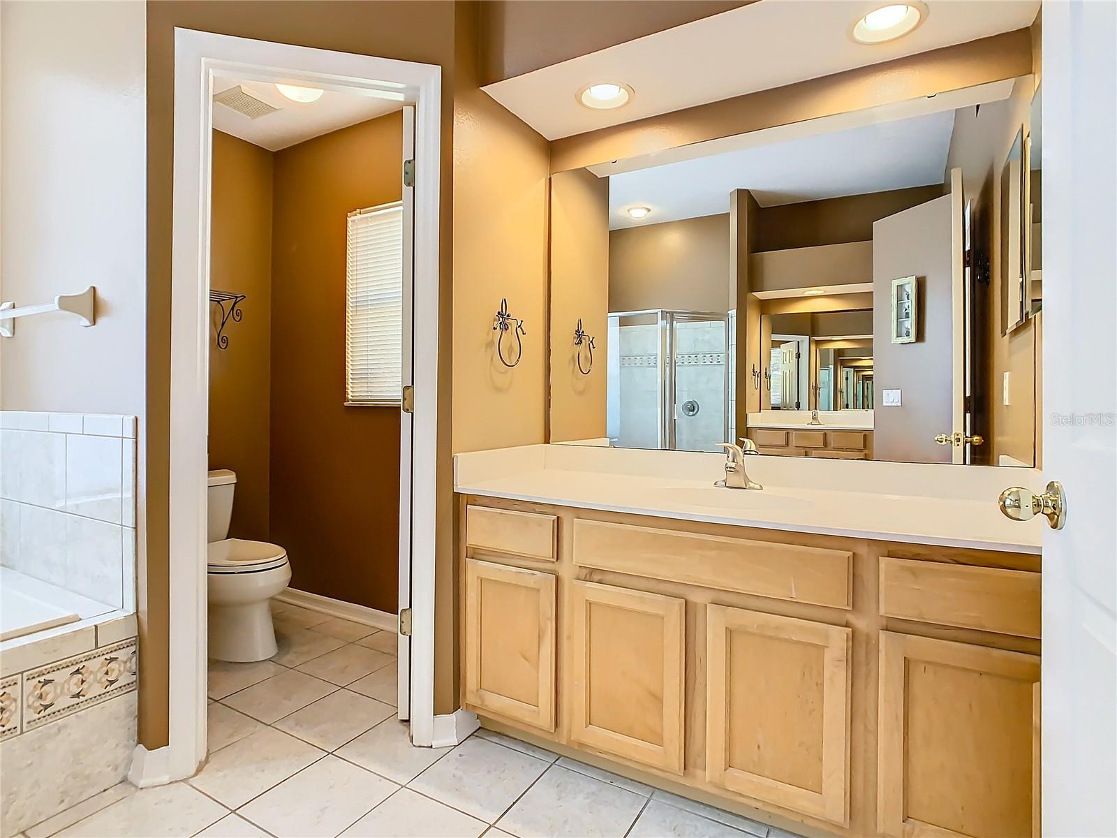 4925 Brightmour Cir Property Photo 44