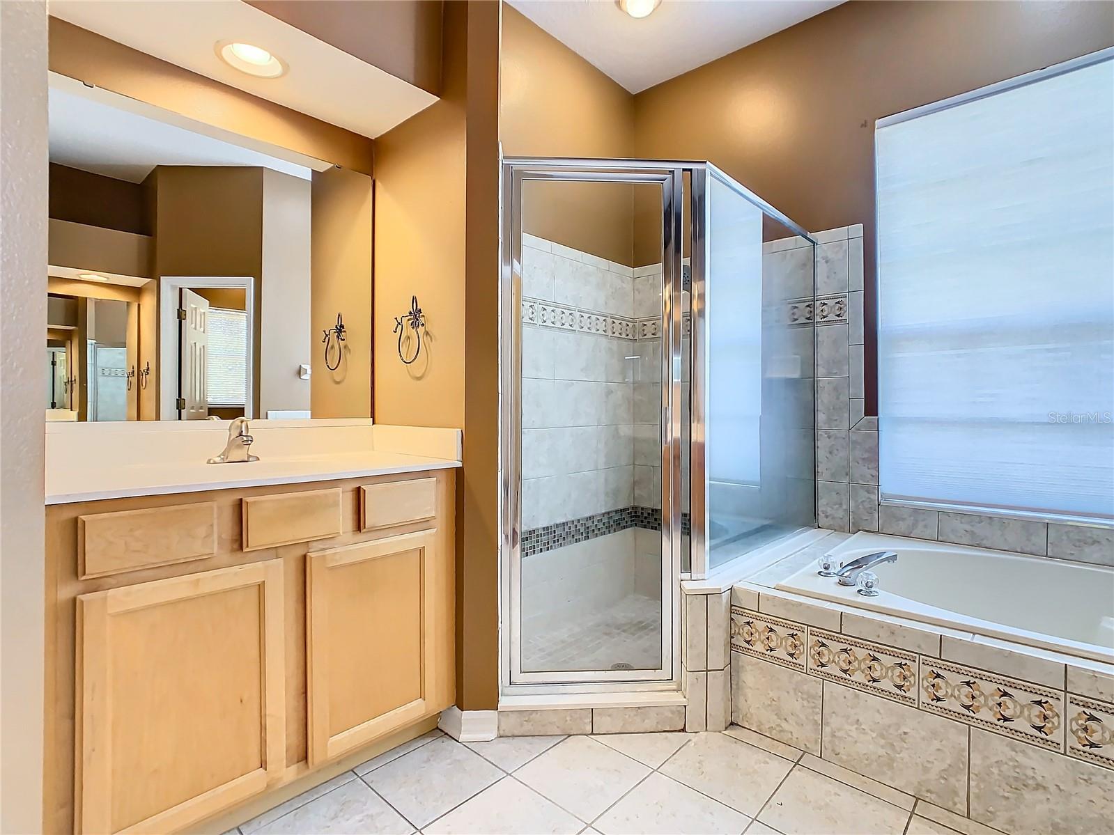 4925 Brightmour Cir Property Photo 45