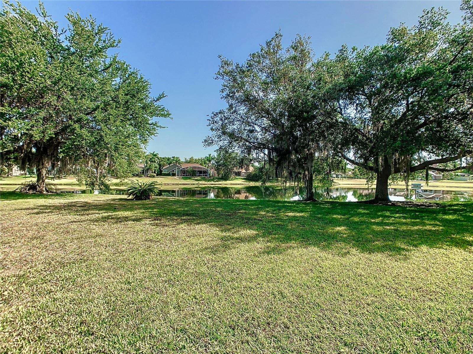 4925 Brightmour Cir Property Photo 56