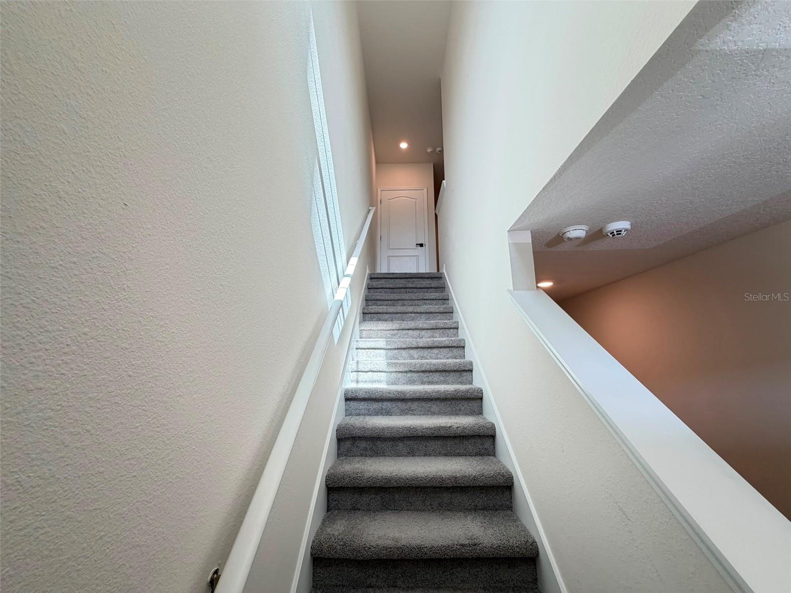 2730 Puffin Pl Property Photo 15