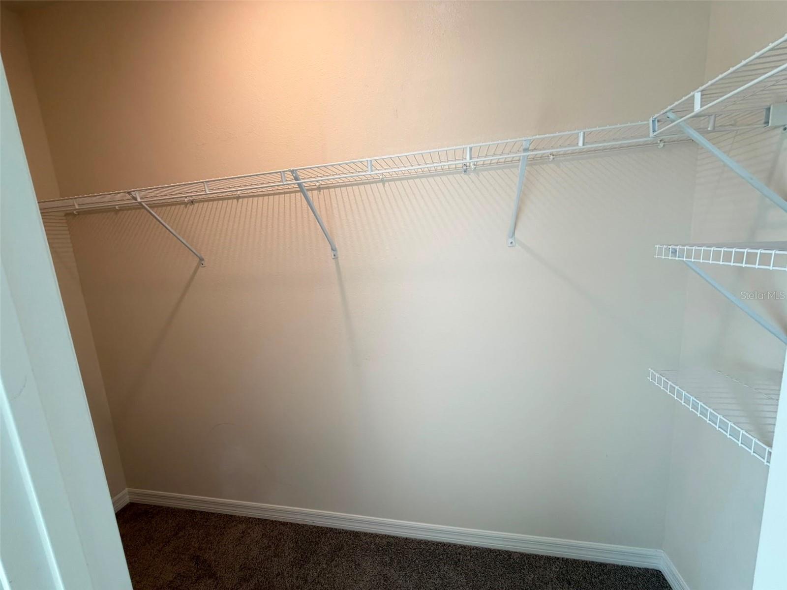 2730 Puffin Pl Property Photo 27