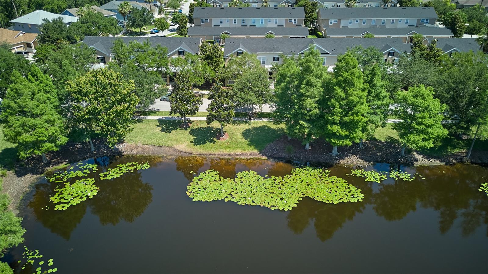 9135 Cardinal Meadow Trl Property Photo 31