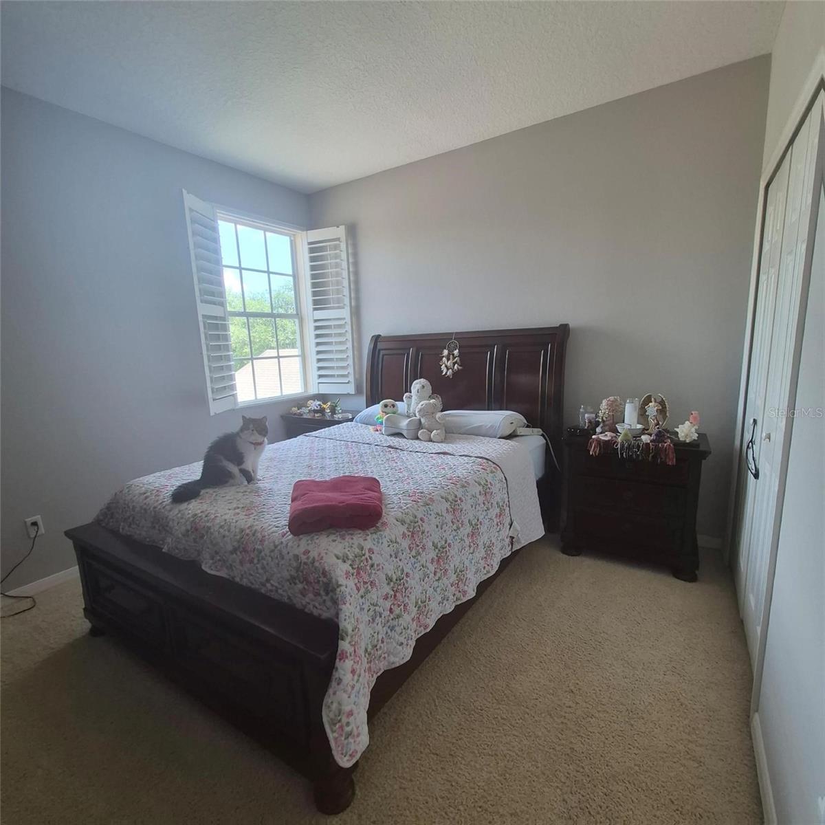 8552 Keswick Pointe Dr Property Photo 16