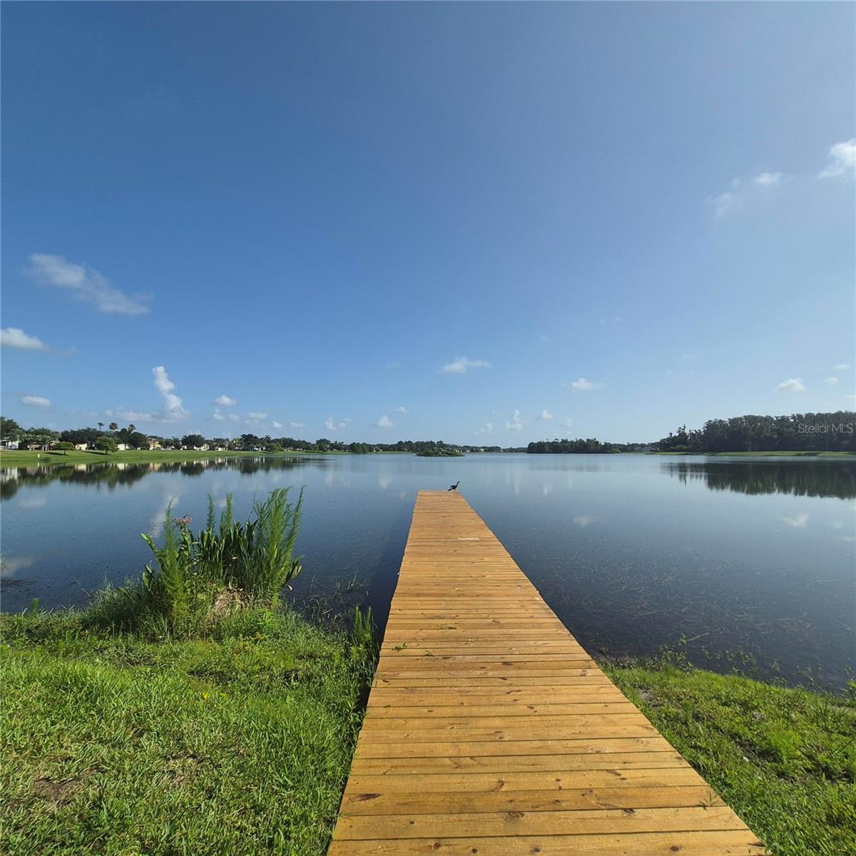 8552 Keswick Pointe Dr Property Photo 42