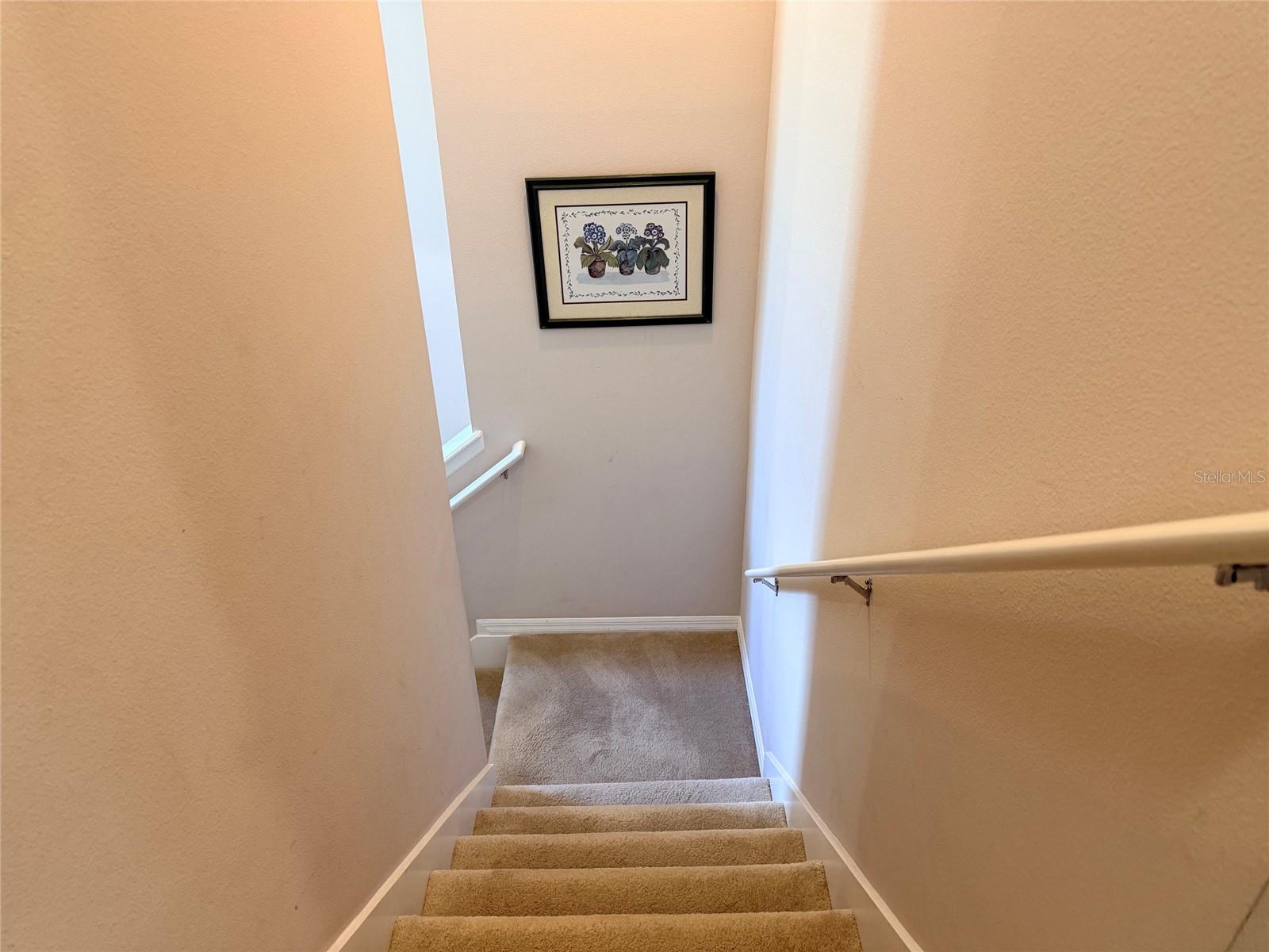 2084 Water Tupelo Way Property Photo 12