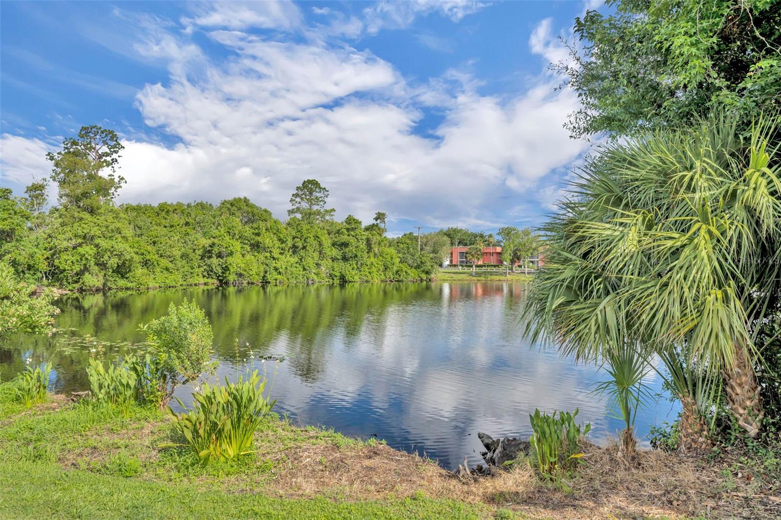 986 Grand Wildmere Cv Property Photo 40