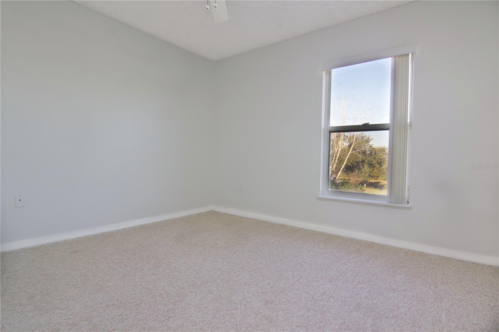15907 Wilkinson Dr Property Photo 14