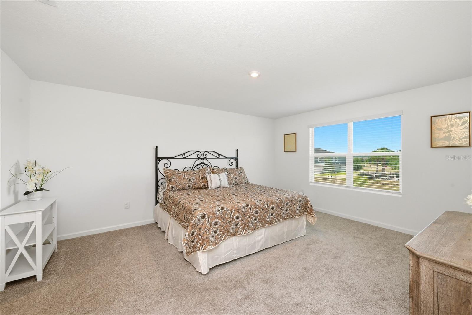 2666 Ginseng Ivy St Property Photo 35