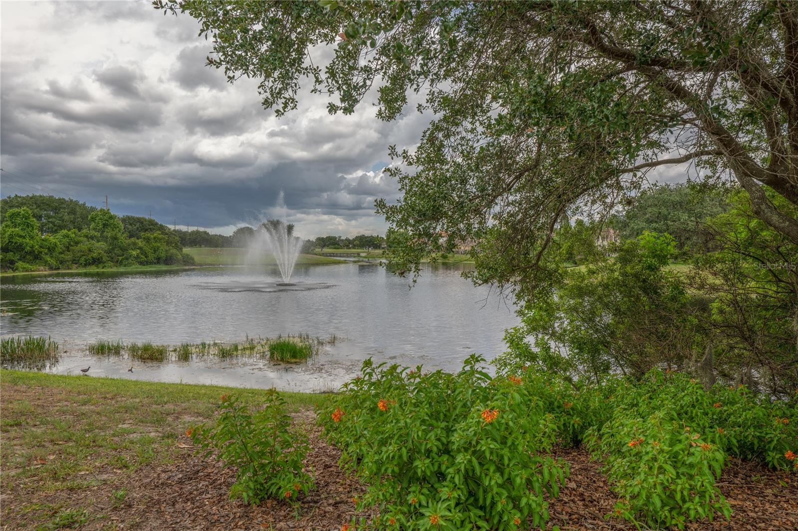 10751 Belfry Cir Property Photo 44