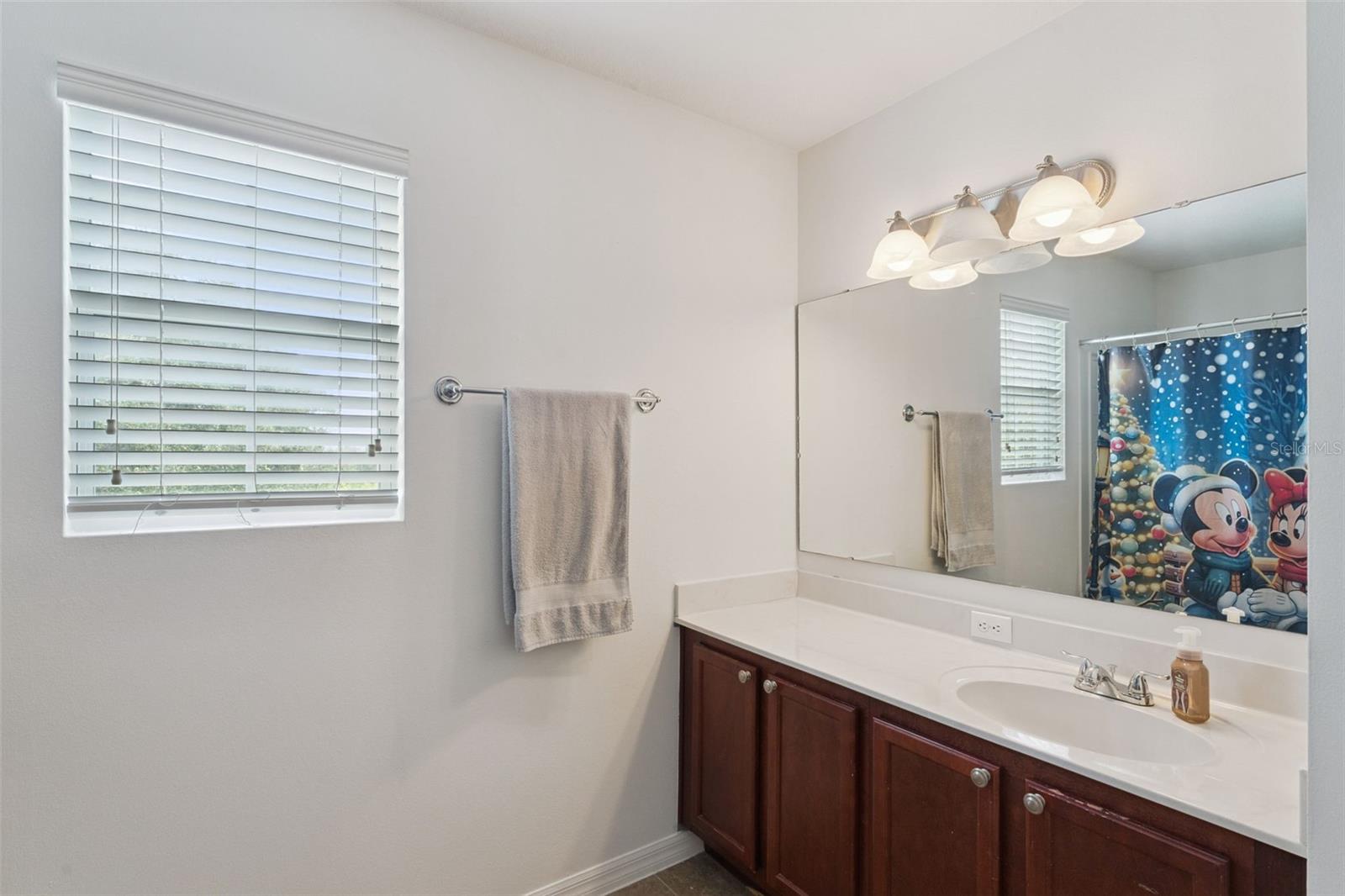 2428 Victoria Falls Dr Property Photo 17