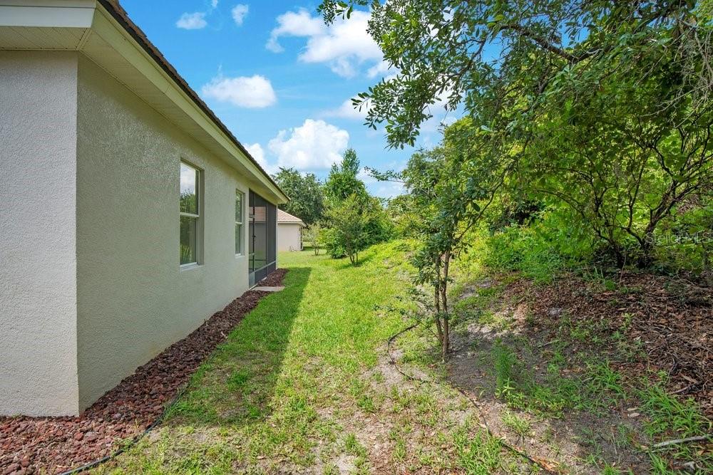 534 Newhall Ln Property Photo 35