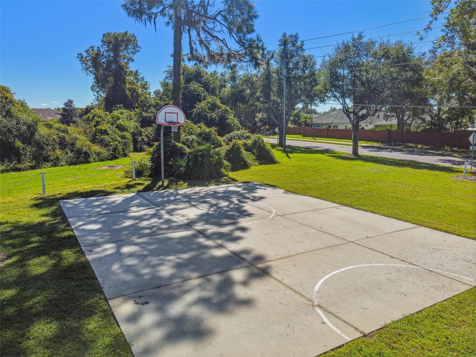 534 Newhall Ln Property Photo 53
