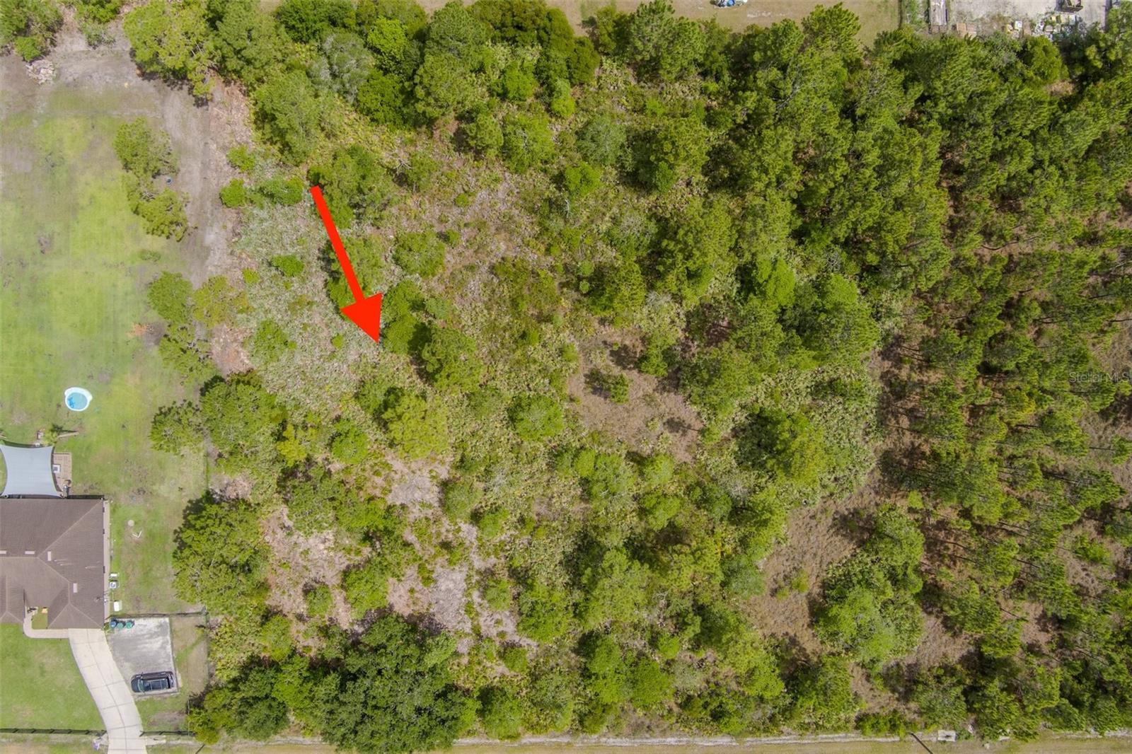 Nettleton St Property Photo 10