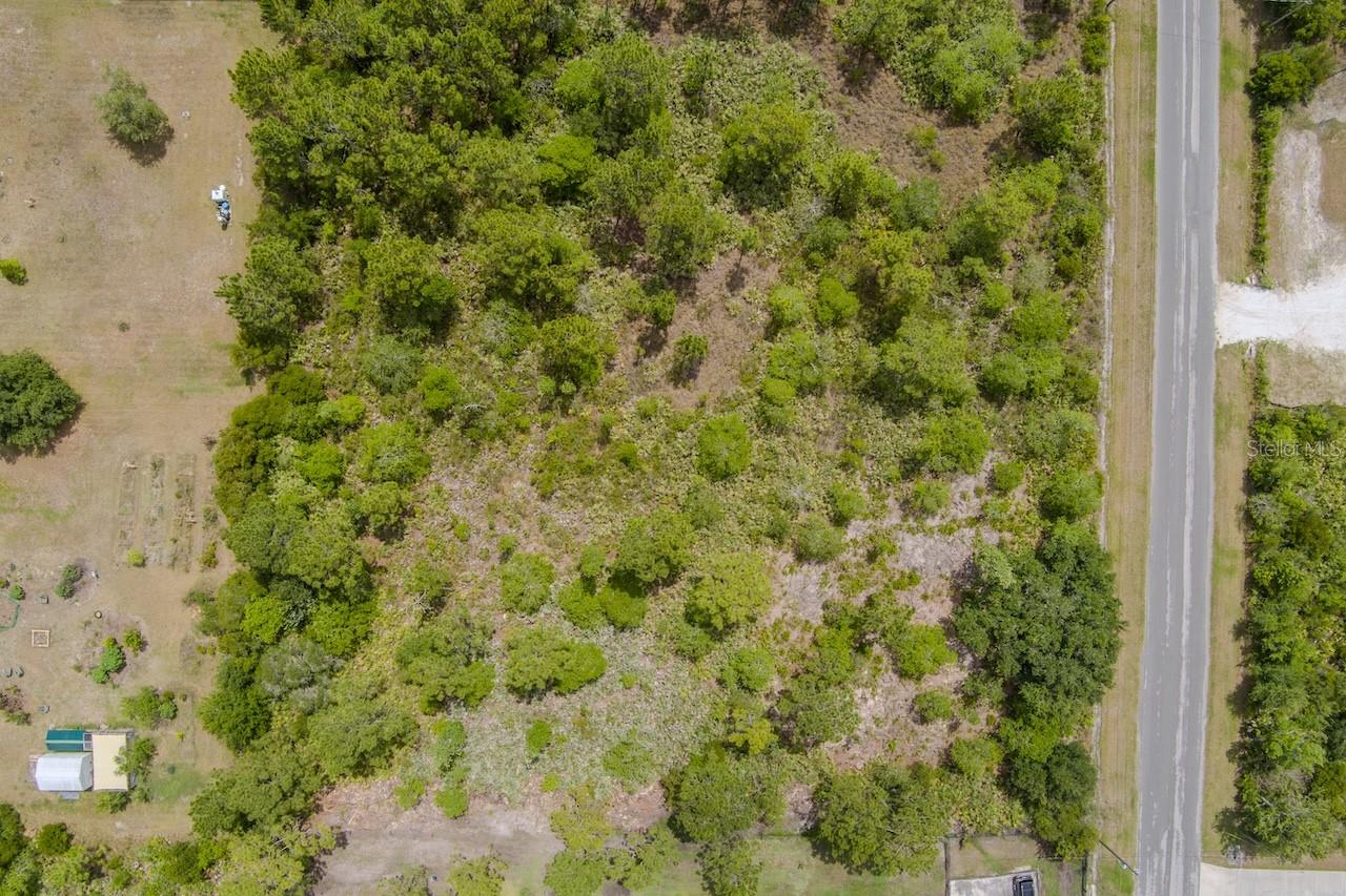 Nettleton St Property Photo 28