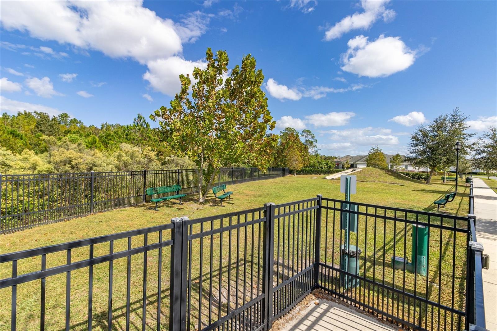 2905 Satire St Property Photo 51