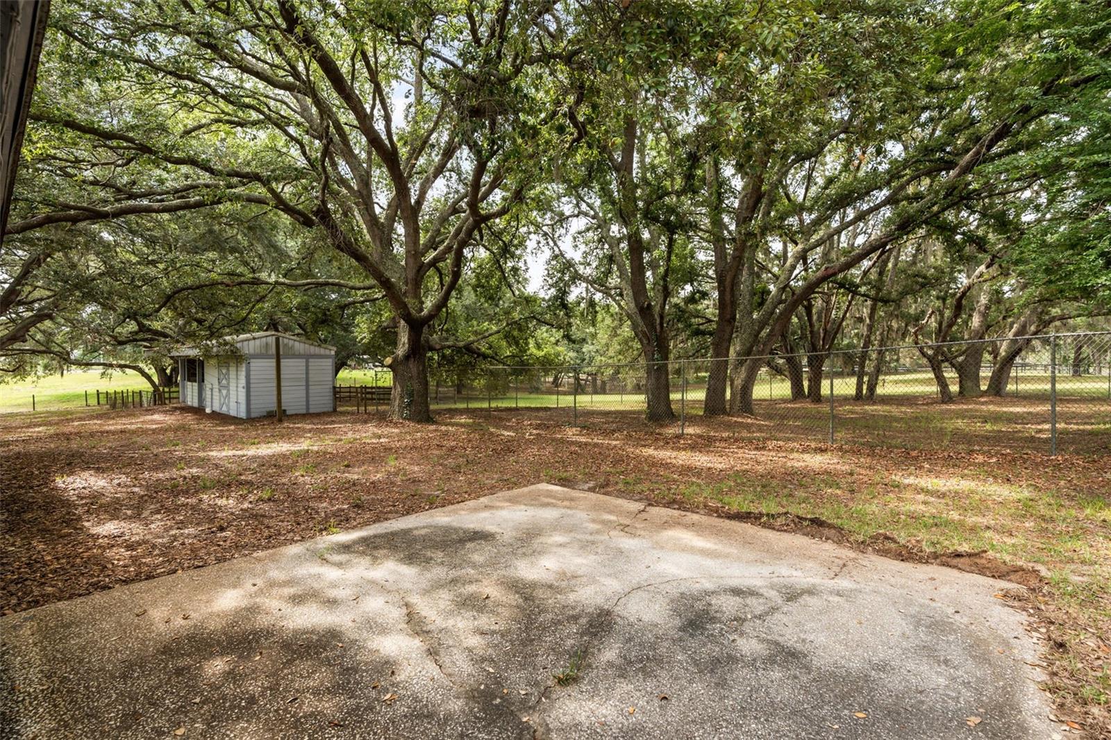 16104 Sandhill Rd Property Photo 5