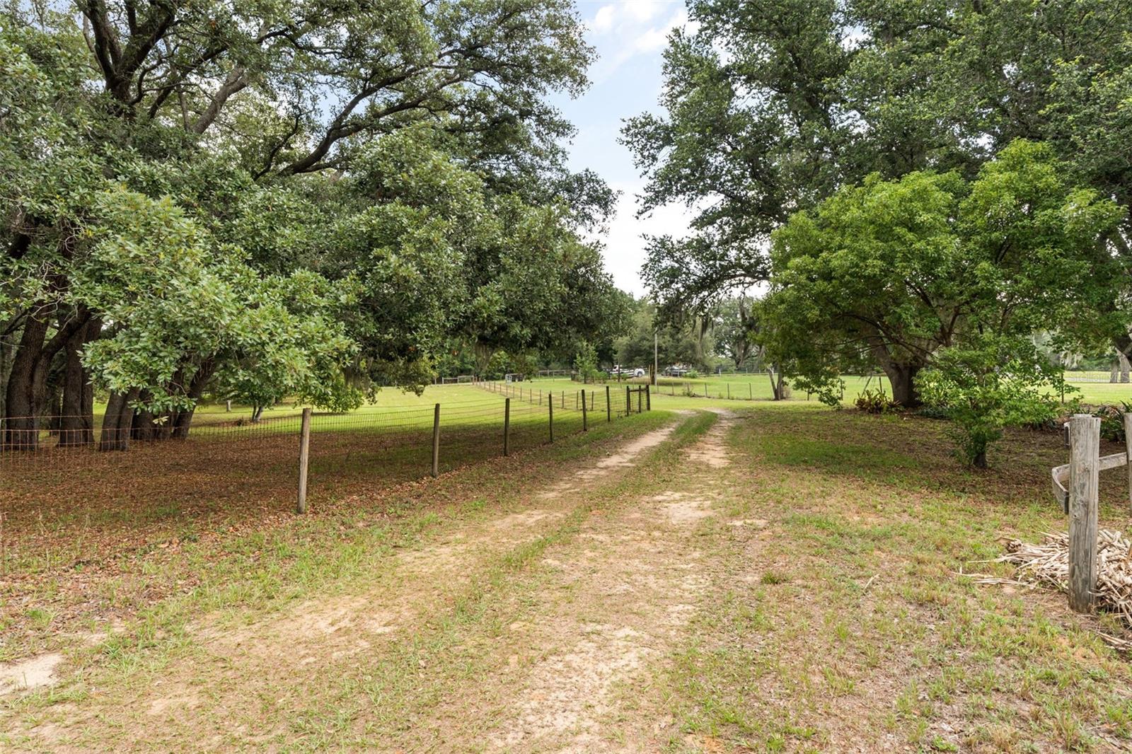 16104 Sandhill Rd Property Photo 7