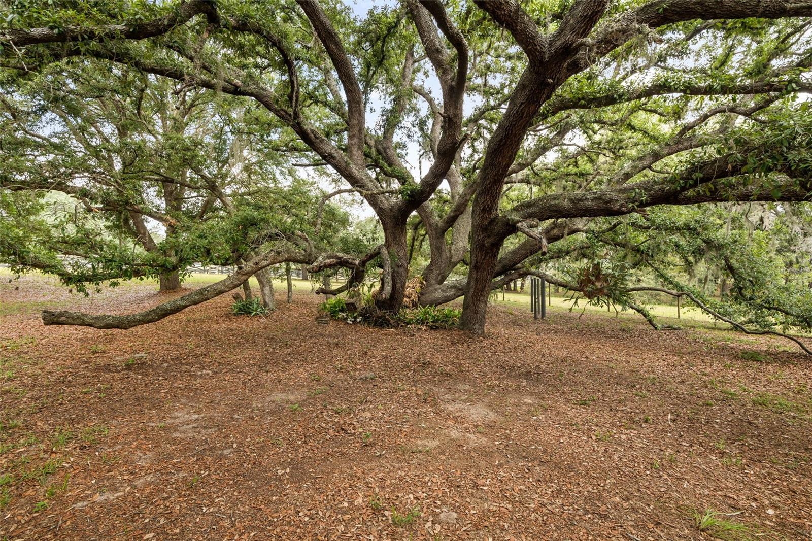 16104 Sandhill Rd Property Photo 9