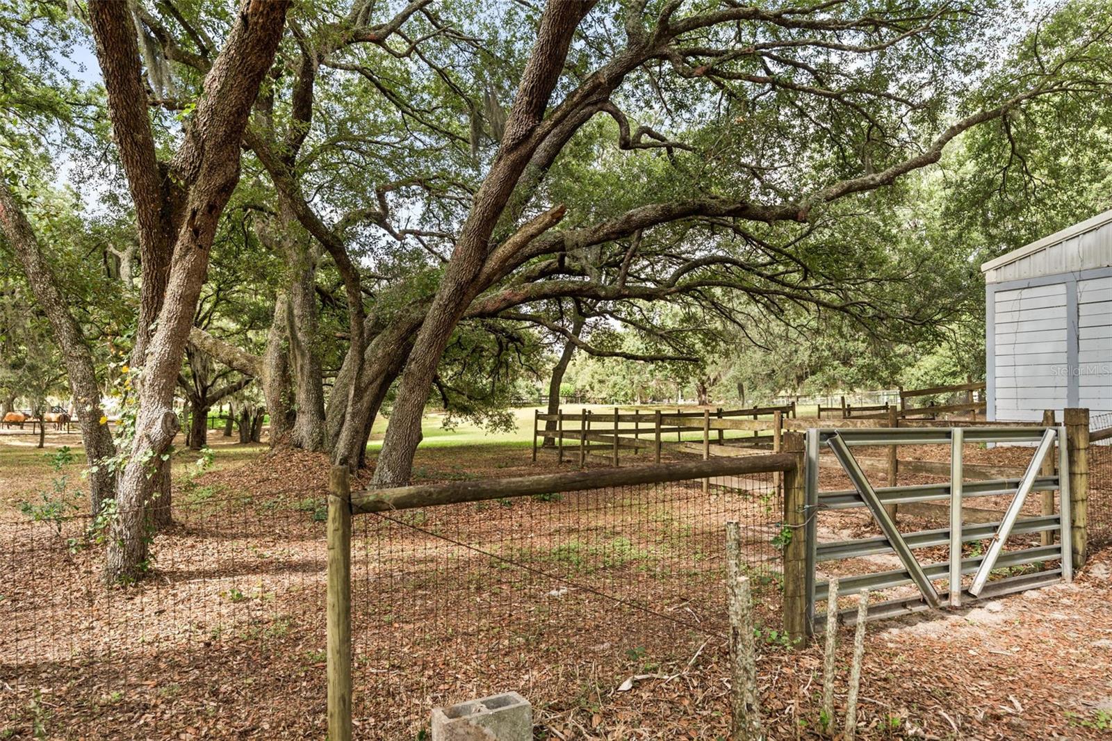 16104 Sandhill Rd Property Photo 36