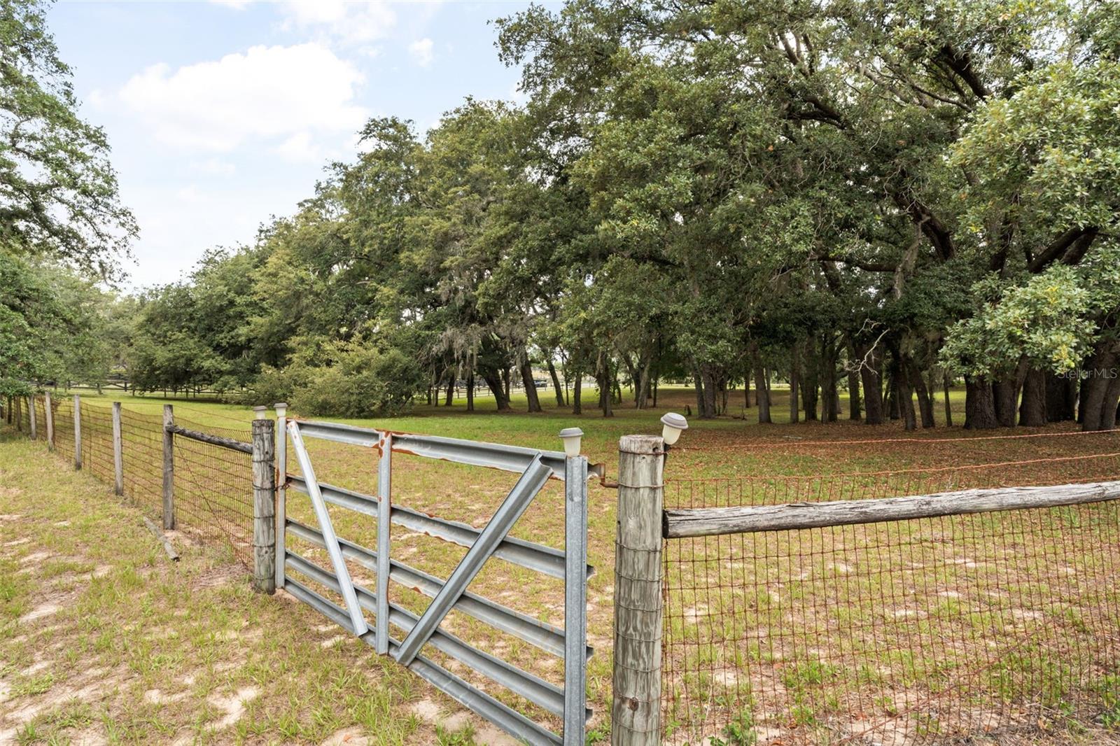16104 Sandhill Rd Property Photo 37