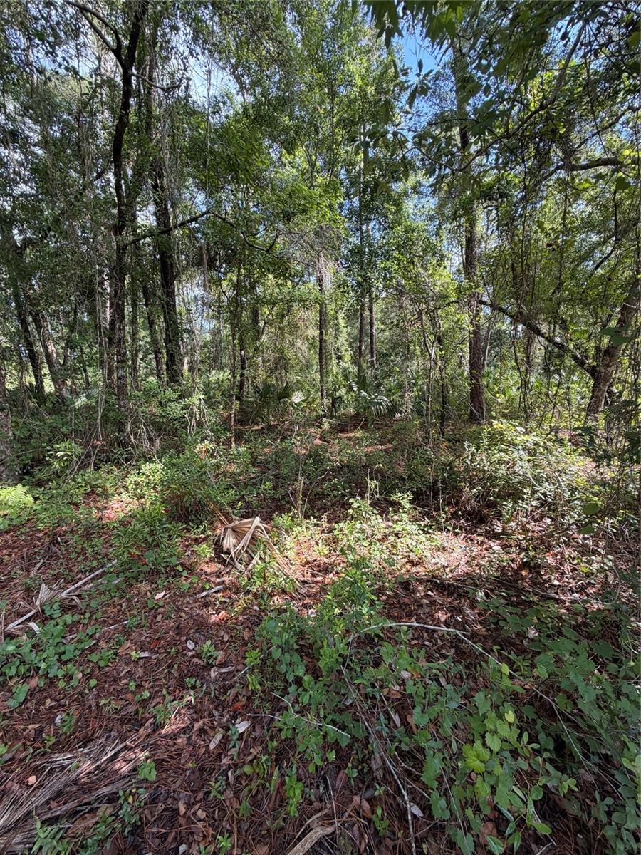 1340 Jayce Ct Property Photo 6