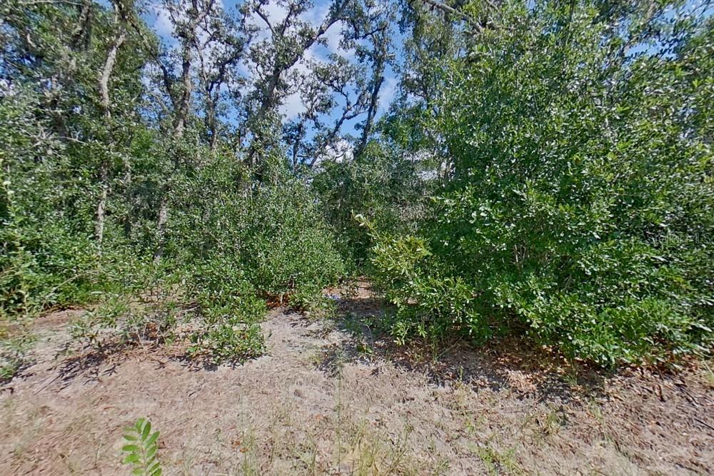2907 W Camilo Dr Property Photo 16