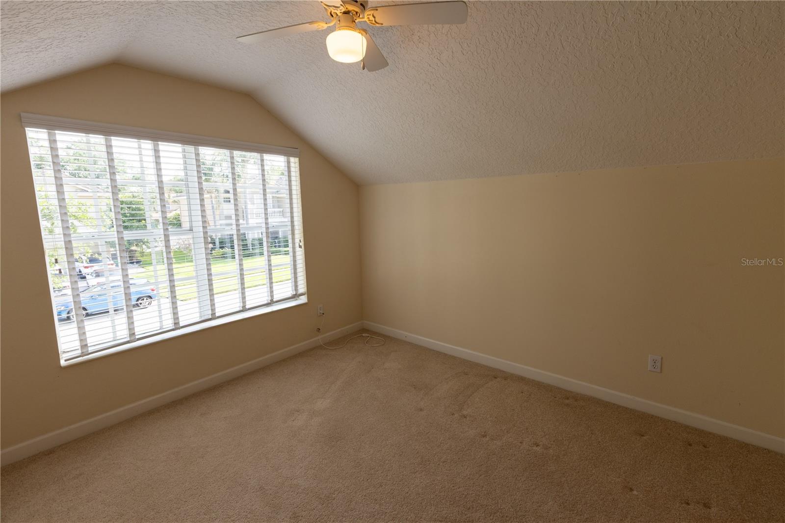 65 Calliope St Property Photo 37