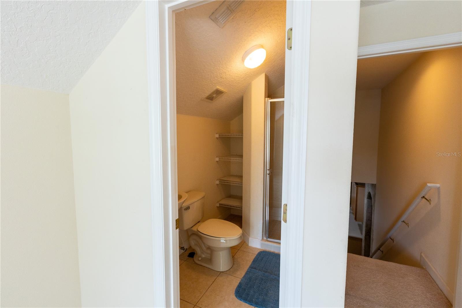 65 Calliope St Property Photo 38