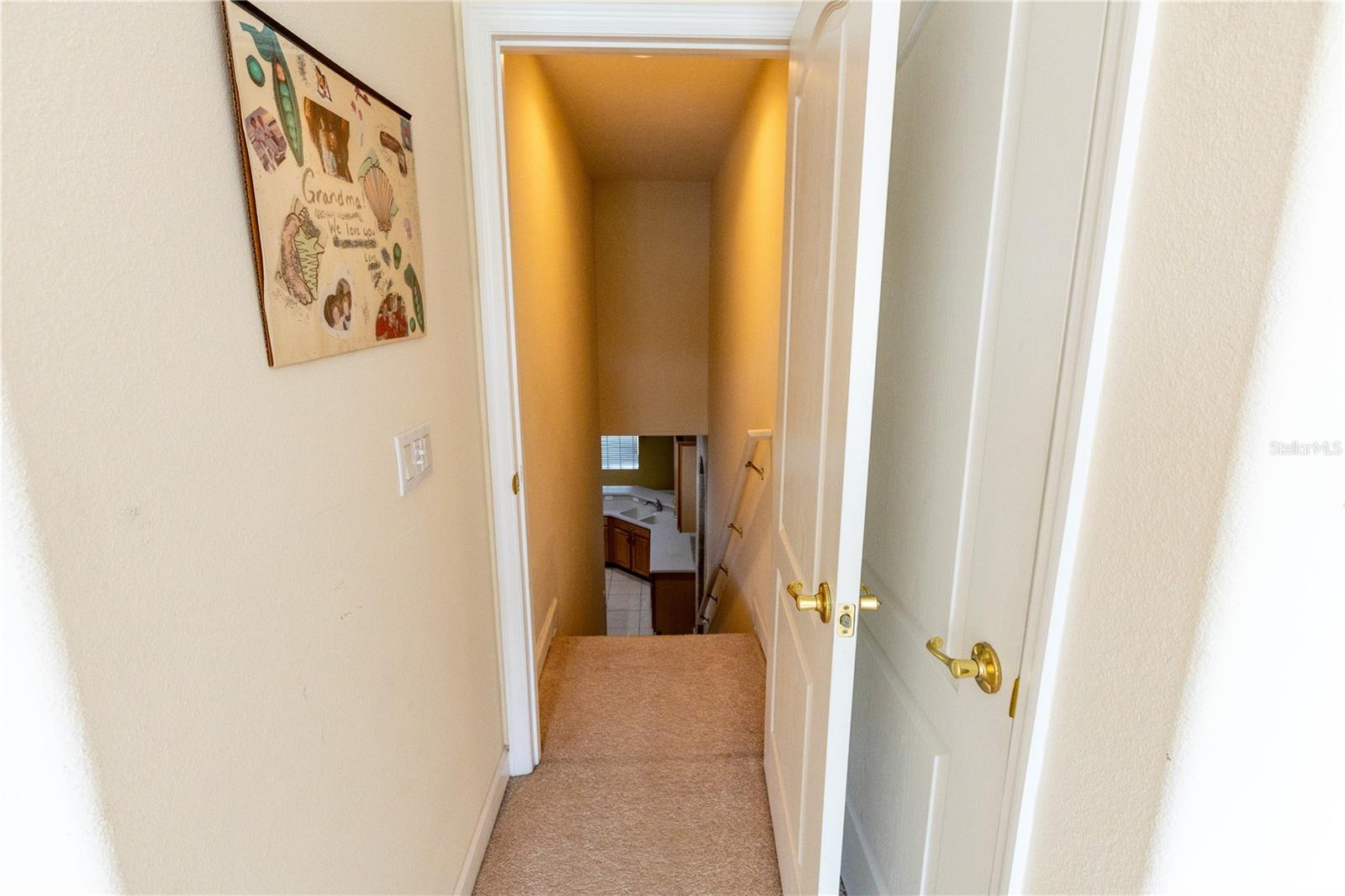 65 Calliope St Property Photo 42