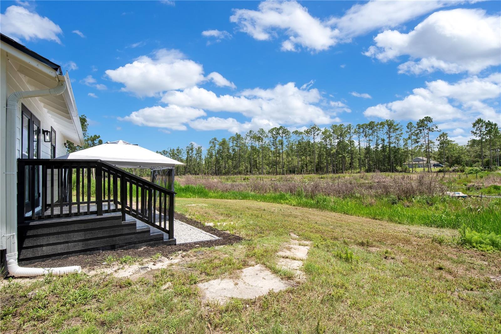 42111 Chinaberry Ct Property Photo 25