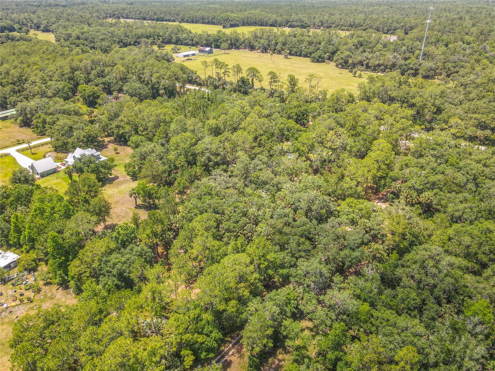 1395 Maytown Rd Property Photo 62