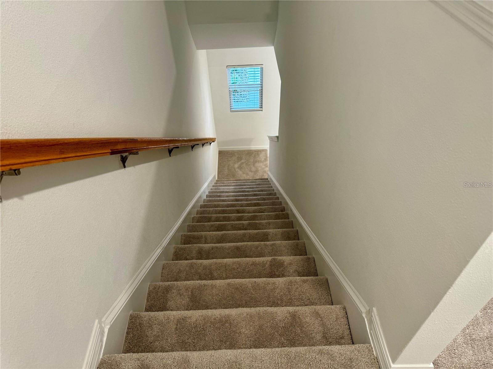 3037 Canary Ave Property Photo 10