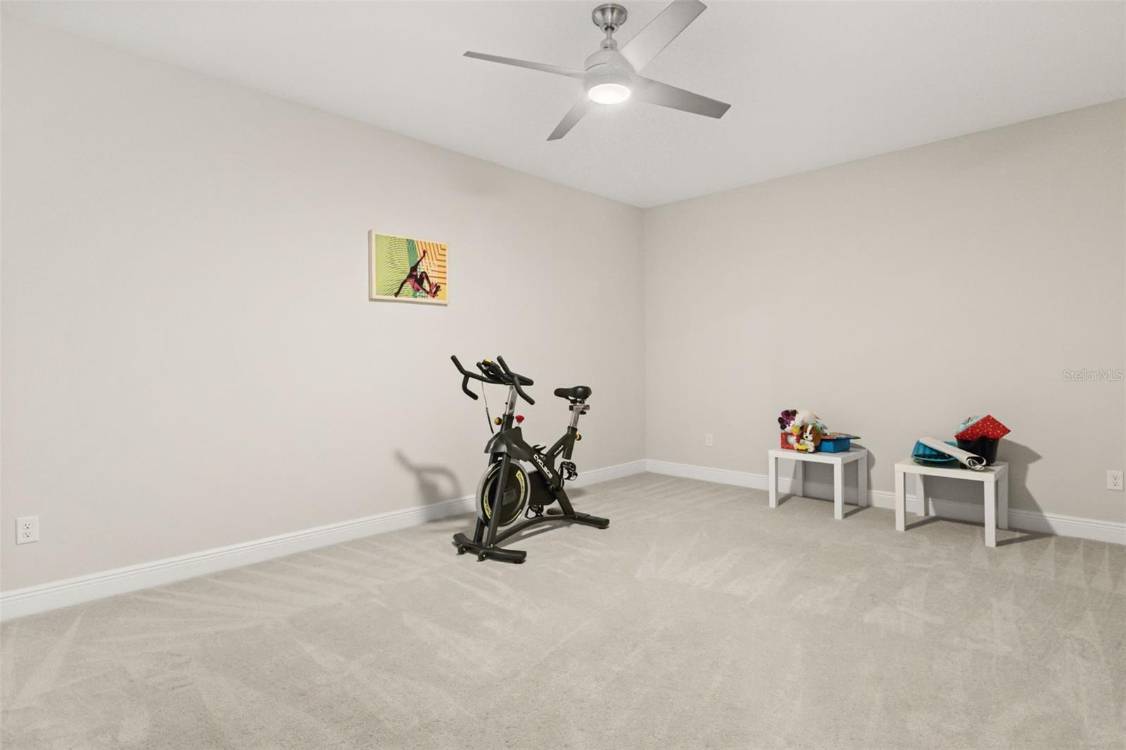 8373 Ludington Cir Property Photo 38