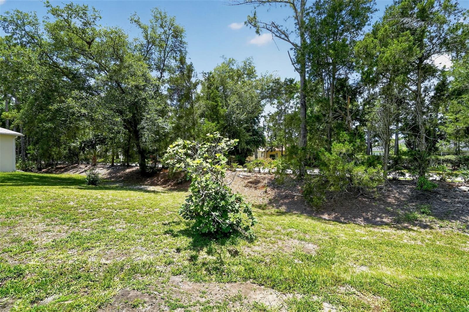 11226 Primrose Cir Property Photo 9