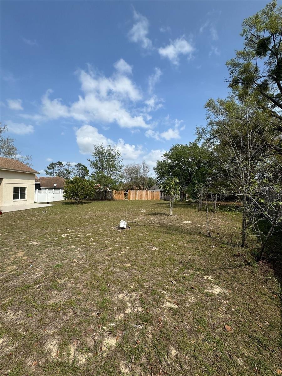 6724 Callie Rd Property Photo 29